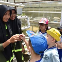 Kegiatan Outdoor Study Kelas 3 Ke SMKN Pertanian Terpadu Riau | SD METTA MAITREYA